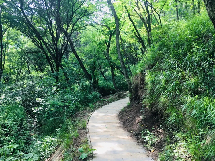 640.webp (4)_副本.jpg