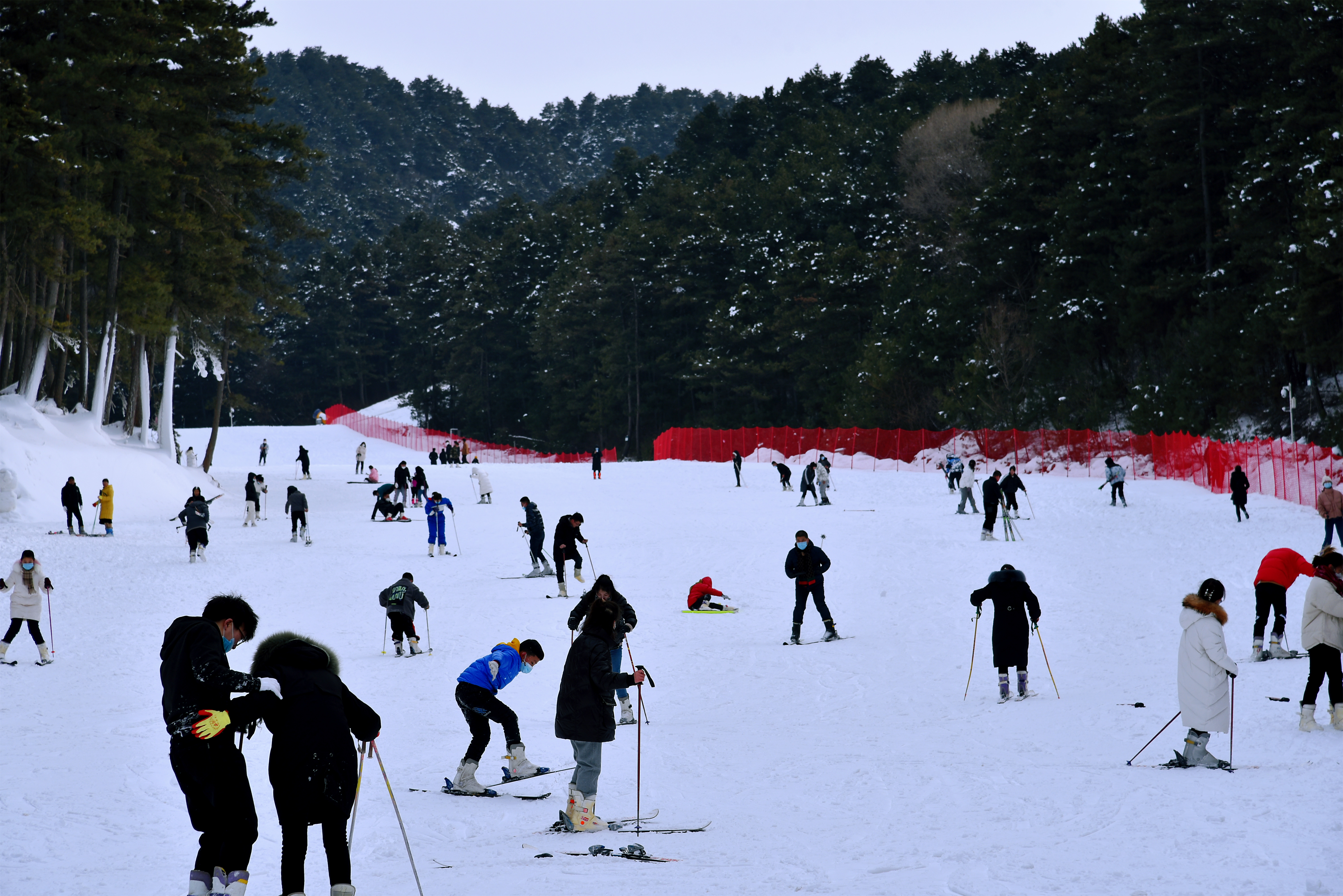 DSC_4637.JPG
